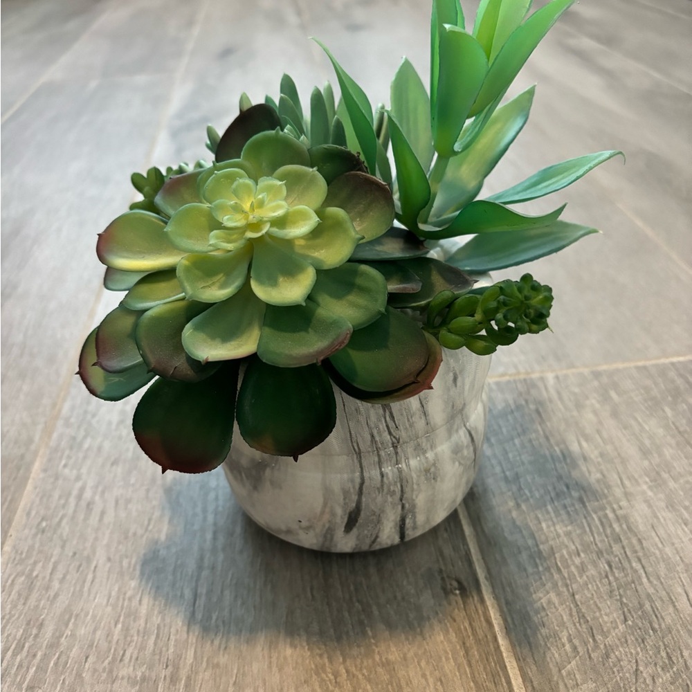 Green and Brown Succulent Arrangement in Marble Pot